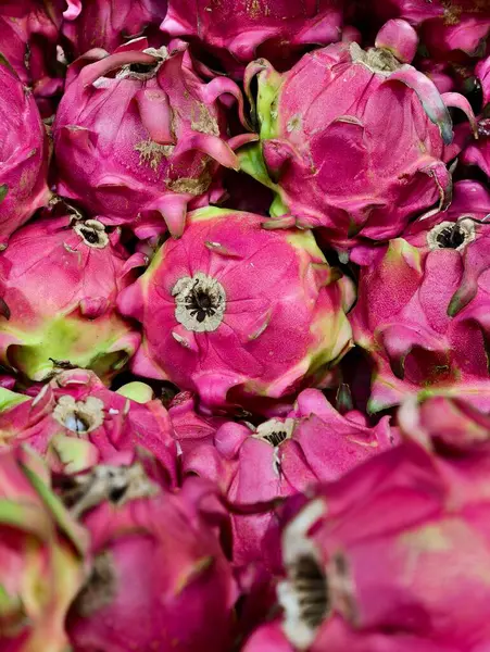 Çok sayıda parlak pembe ejder meyve çiçeğinin yakın plan görüntüsü karmaşık ayrıntılarını ve doğal güzelliklerini gözler önüne seriyor..