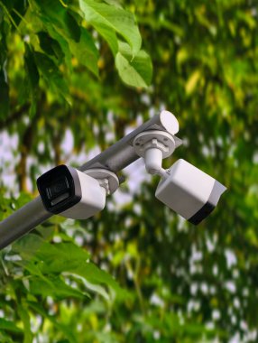 İki modern güvenlik kamerası, yemyeşil yapraklar ve dallarla çevrili metal bir direğe monte edilmiş..