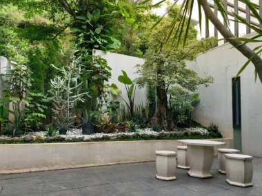 Bereketli tropikal bitkilerin bulunduğu sakin bir açık alan ve dışkıları olan çağdaş beton bir masa..