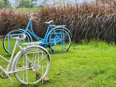 İki klasik bisikletin olduğu sakin bir açık hava sahnesi. Biri mavi diğeri beyaz, canlı yeşil çimlerin üzerinde dinleniyor..