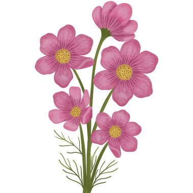 Beyaz arkaplanda sarı çiçekler.