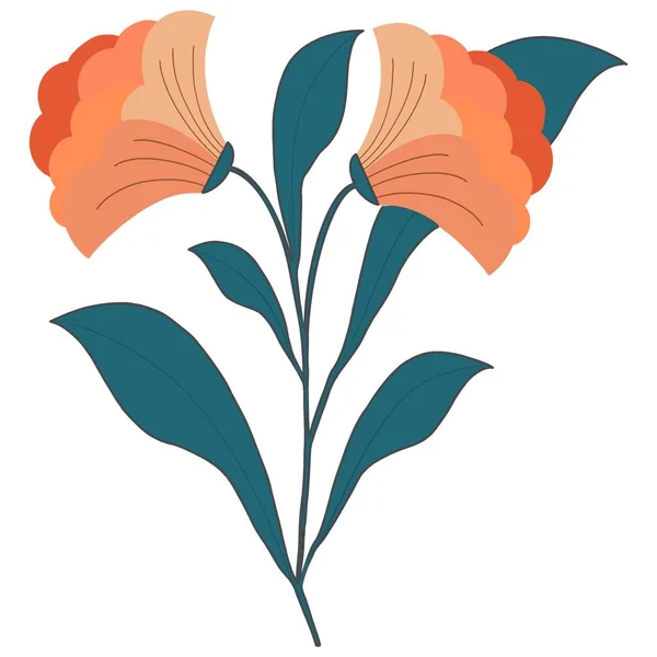 Färgglada Blommor Samling Vit Bakgrund — Stockfoto
