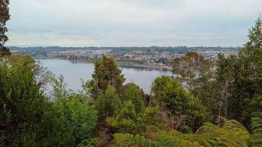 Puerto Varas, Şili: şehir manzarası, panoramik hava manzarası.