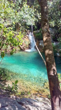 Chapada dos Veadeiros, Goias, Brezilya 'da güzel berrak şelale.