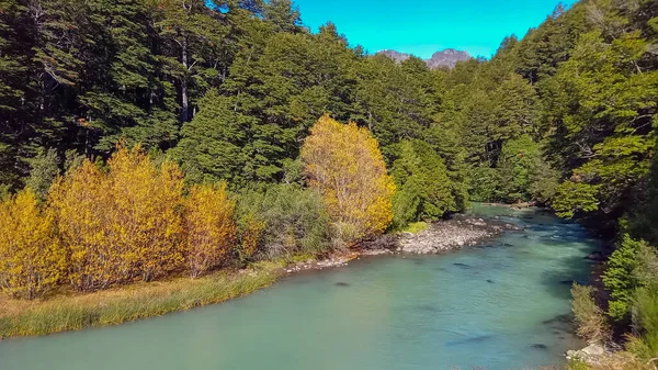 Гарна Річка Аргентинській Патагонії Восени — стокове фото
