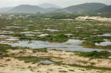 Joaquina 'nın kumulları, Florianopolis, Santa Catarina, Brezilya.