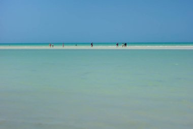 Quintana Roo, Meksika 'daki Holbox adasında berrak ve sığ sular..