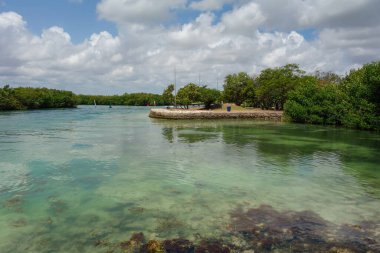 Cancun, Meksika 'nın mangrov bölgesindeki deniz kanalları.