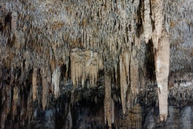 Yer altı Cenote Choj Ha. Sarkıtlar ve dikitlerle dolu bir mağara. Valladolid, Meksika.