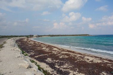 Cozumel, Meksika 'daki Karayip Denizi' nin turkuaz mavisi suları..