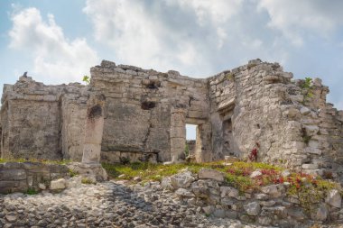 Tulum arkeolojik alanı mahvediyor. Riviera Maya, Meksika 'daki Antik Maya Harabeleri.