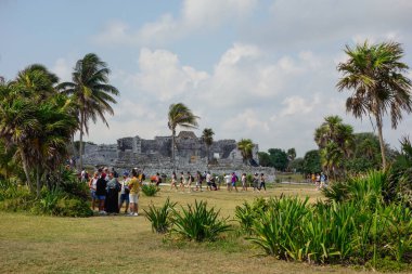 Tulum, Meksika - 04.26.2024: arkeolojik alanı harap eder. Riviera Maya 'daki Antik Maya Harabeleri.