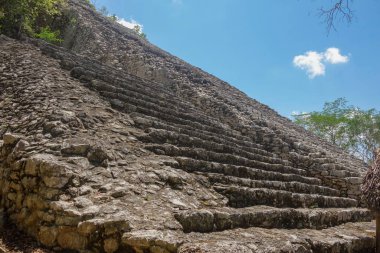 Coba arkeolojik alanı harap ediyor. Meksika 'daki Antik Maya Harabeleri.