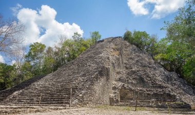 Coba arkeolojik alanı harap ediyor. Meksika 'daki Antik Maya Harabeleri.