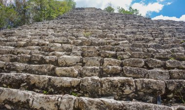 Coba arkeolojik alanı harap ediyor. Meksika 'daki Antik Maya Harabeleri.