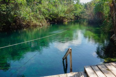 Tulum, Meksika 'daki Cenote Cristal' de kristal berrak suları olan güzel bir doğal havuz..