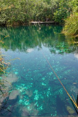 Tulum, Meksika 'daki Cenote Cristal' de kristal berrak suları olan güzel bir doğal havuz..