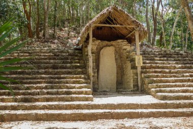 Antik Maya 'nın Coba' daki yazıtları arkeolojik alanı harabeye çevirir. Meksika.