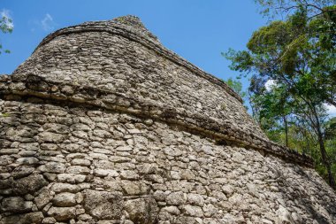 Coba arkeolojik alanı harap ediyor. Meksika 'daki Antik Maya Harabeleri.