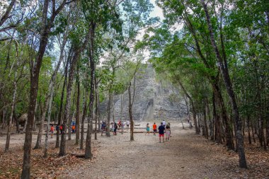 Coba, Meksika: arkeolojik alanı harap ediyor. Antik Maya Harabeleri.
