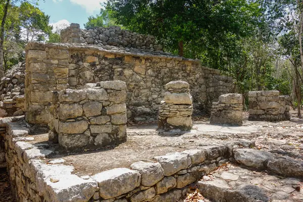 stock image Coba ruins archaeological site. Ancient Mayan Ruins in Mexico.