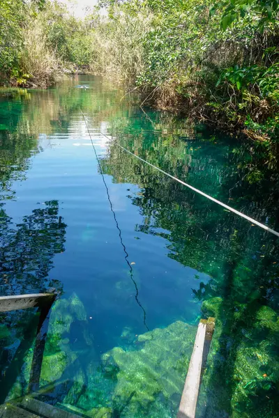 Meksika, Tulum 'daki Cenote Escondido' da kristal berrak suları olan güzel bir doğal havuz..