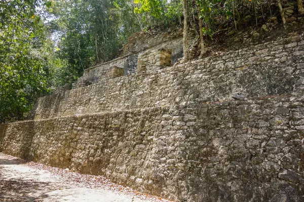 stock image Coba ruins archaeological site. Ancient Mayan Ruins in Mexico.