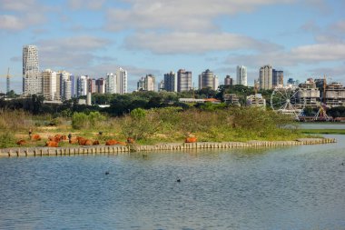Güneşli bir günde Brezilya, Curitiba 'daki Barigui parkı. Panoramik.