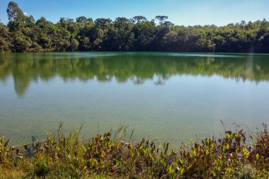 Vila Velha Eyalet Parkı 'ndaki Altın Göl, Ponta Grossa, Parana, Brezilya.