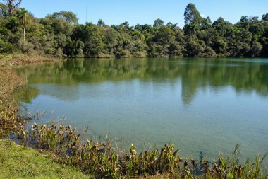 Vila Velha Eyalet Parkı 'ndaki Altın Göl, Ponta Grossa, Parana, Brezilya.