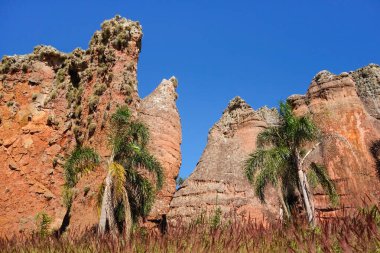 Vila Velha Eyalet Parkı 'ndaki kum taşı jeolojik anıtlar ya da Arenitos. Ponta Grossa, Parana, Brezilya.