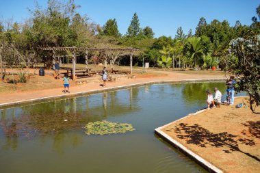 Brasilia, Brezilya - 22 Haziran 2024: Güneşli bir günde Botanik Bahçesi. Jardim Botanico