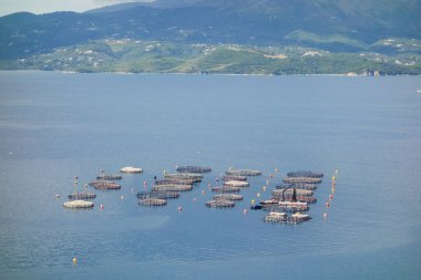 Denizde istiridye ve midye yetiştirmek için çiftlikler. Panoramik görünüm.
