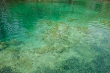 Plitvice Lakes Ulusal Parkı 'ndaki muhteşem yeşil göl. Hırvatistan 'da şelale, göl ve flora.