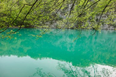 Plitvice Lakes Ulusal Parkı 'ndaki muhteşem yeşil göl. Hırvatistan 'da şelale, göl ve flora.