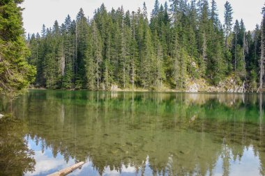 Durmitor Ulusal Parkı, Zabljak, Karadağ 'daki Zminje gölünün sığ ve berrak suları.