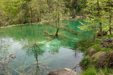 Hırvatistan 'daki Plitvice Gölleri Ulusal Parkı' nın muhteşem şelaleleri ve gölleri.