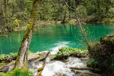 Hırvatistan 'daki Plitvice Gölleri Ulusal Parkı' nın muhteşem şelaleleri ve gölleri.