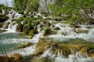 Hırvatistan 'ın Plitvice Lakes Ulusal Parkı' nda inanılmaz çim taşkınları. Korunan bölgede muhteşem şelaleler, göller ve bitkiler.