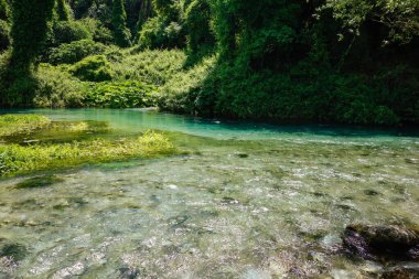 Arnavutluk 'un Saranda kenti yakınlarındaki Mavi Göz Doğa Anıtı' nda temiz su ve orman.