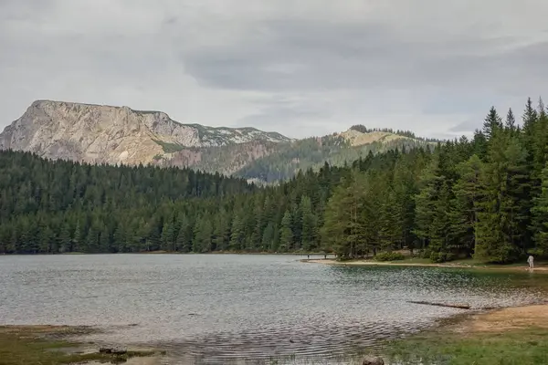 Karadağ 'ın Zabljak kentindeki Durmitor Milli Parkı' nda arka planda dağ sırasına sahip Kara Göl.