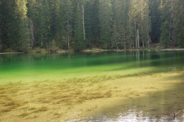Durmitor Ulusal Parkı, Zabljak, Karadağ 'daki Zminje gölünün yeşil yüzeyi gün batımını yansıtıyor.