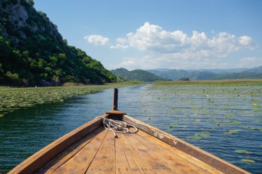 Arnavutluk ve Karadağ sınırındaki Skadar Gölü 'nde zambaklar arasında tahta sal yelken açıyor.