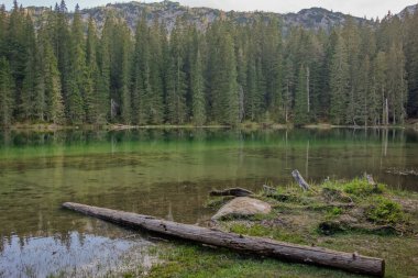 Durmitor Ulusal Parkı, Zabljak, Karadağ 'daki Zminje gölünün yeşil yüzeyi gün batımını yansıtıyor.