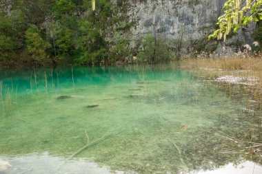 Plitvice Lakes Ulusal Parkı 'ndaki muhteşem yeşil göl. Hırvatistan 'da şelale, göl ve flora.