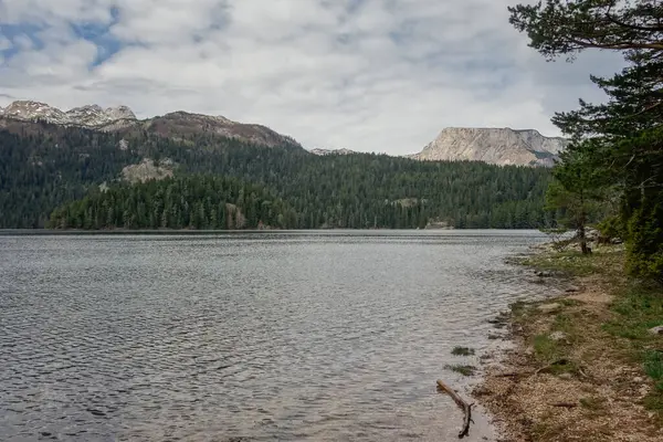 Durmitor Ulusal Parkı 'ndaki Kara Göl, Zabljak, Karadağ.