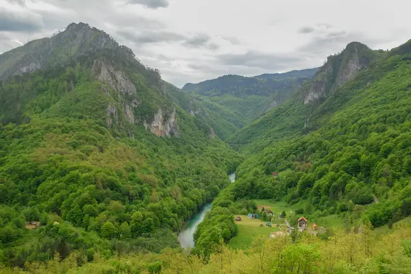 Kuzey Karadağ, Avrupa 'daki Zabljak yakınlarındaki dağların arasında güzel Tara nehri vadisi var.