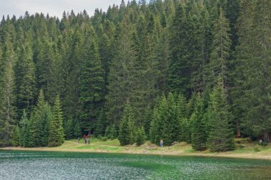 Karadağ 'ın Zabljak kentindeki Durmitor Milli Parkı' nda çam ormanlarıyla çevrili Kara Göl.