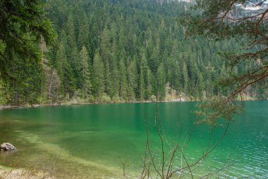 Karadağ 'ın Zabljak kentindeki Durmitor Milli Parkı' nda çam ormanlarıyla çevrili Kara Göl.