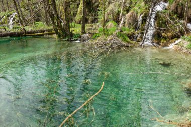 Hırvatistan 'daki Plitvice Gölleri Ulusal Parkı' nın muhteşem şelaleleri ve gölleri.